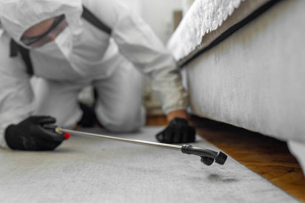 Professional Ant Control technician working in Caldwell, TX
