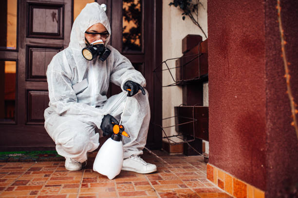 Reliable Wasp Removal contractor in Caldwell, TX by Show Me Pest Control